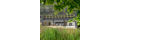 eco thumbnail