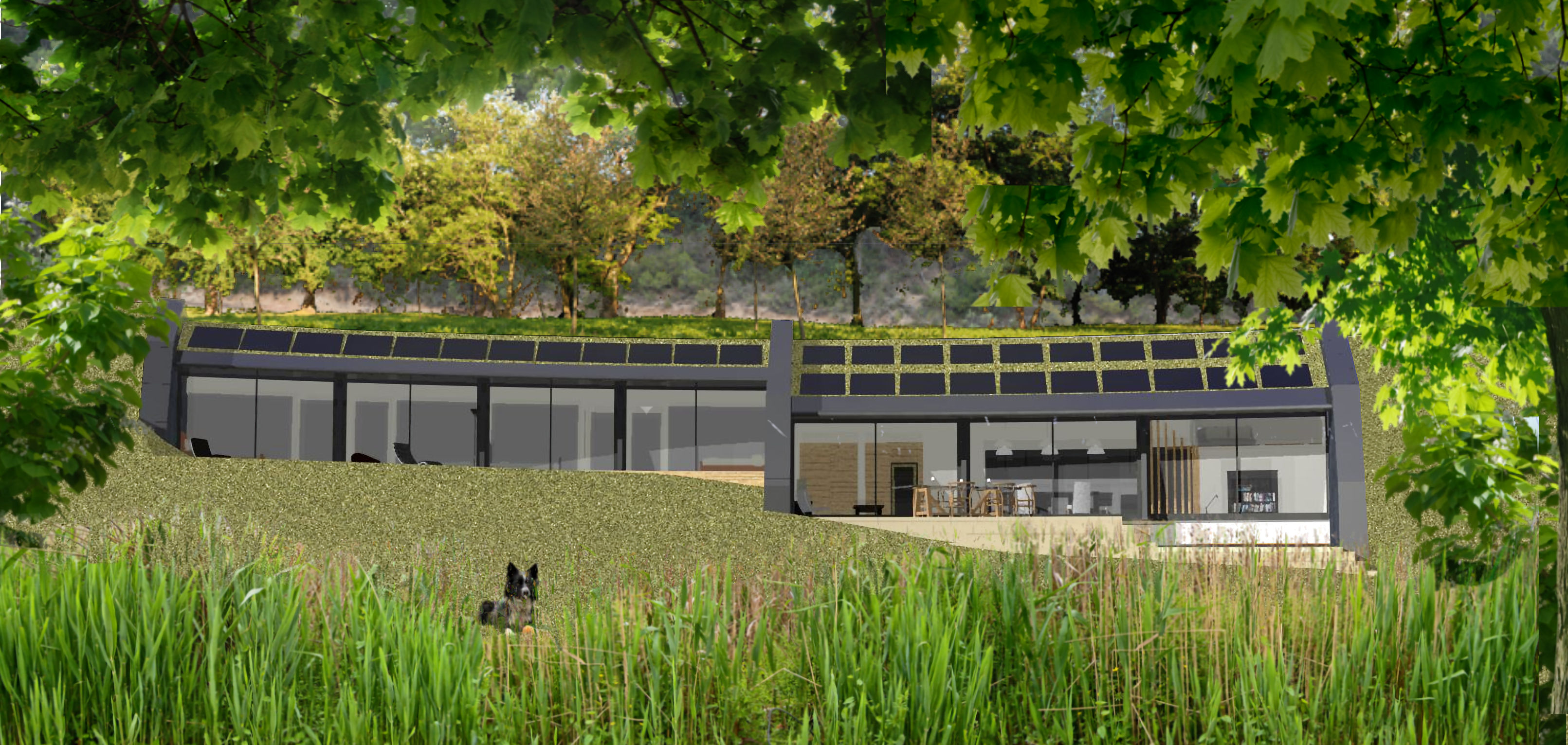 Woodland house elevation